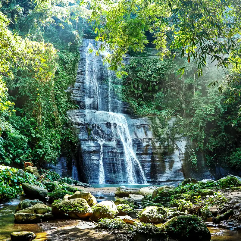 Image link