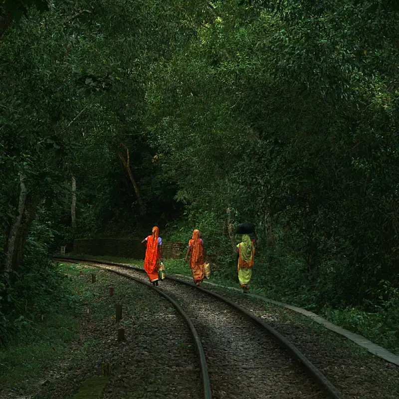 Image link